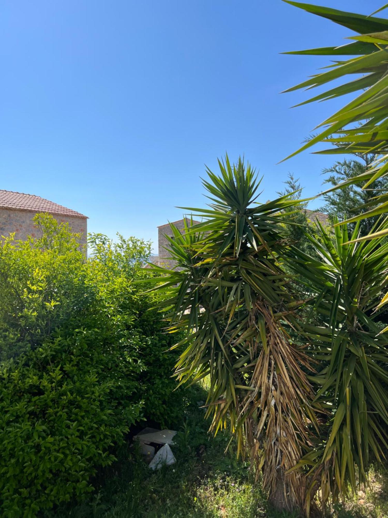 Koukouri Village Kafiona Exterior photo
