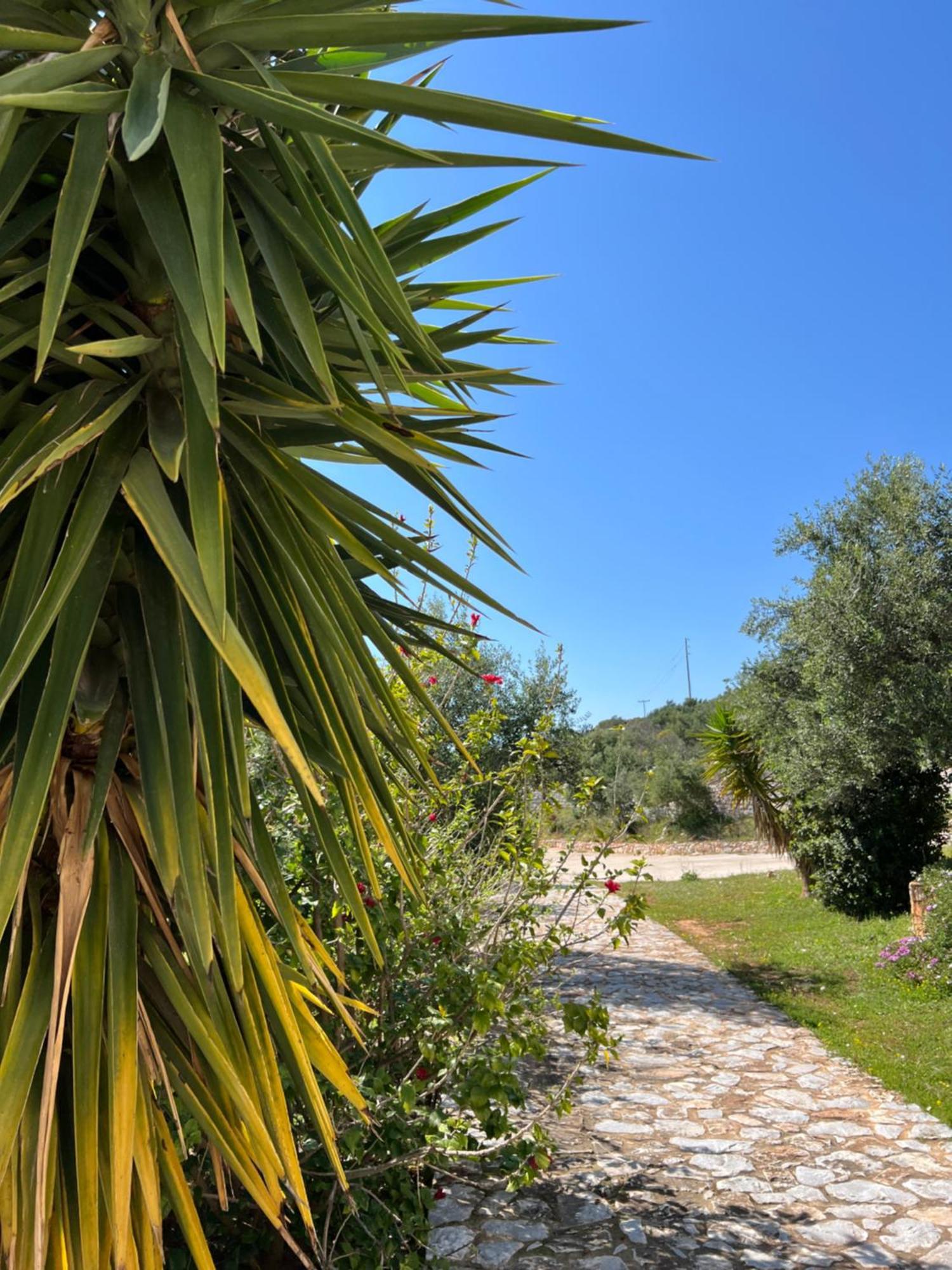 Koukouri Village Kafiona Exterior photo